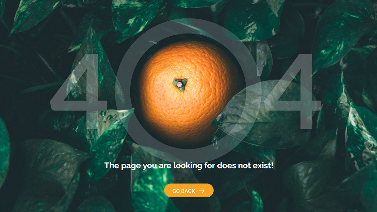 404 Page Templates Orange