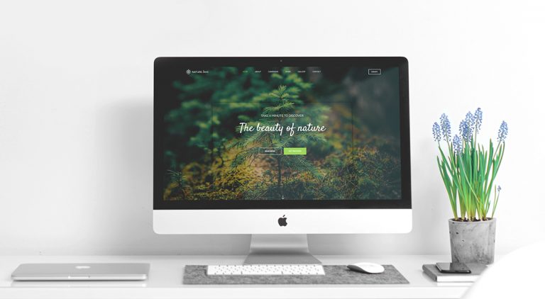 How to Create Beautiful Homepages with Newspaper Theme
