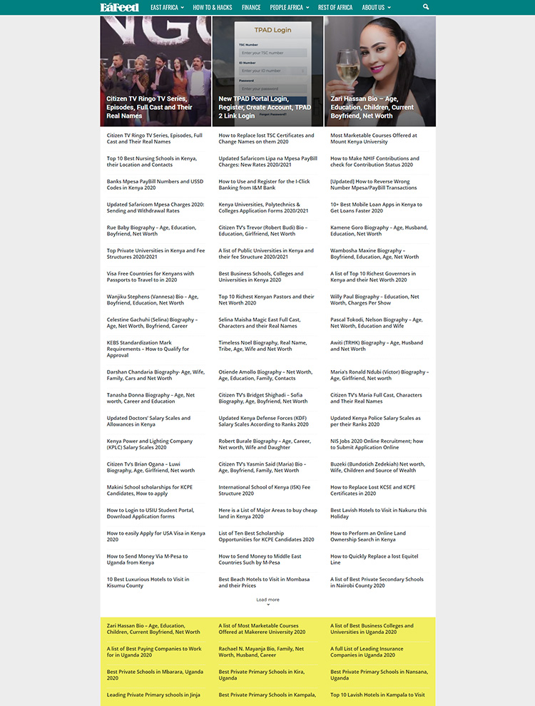 Newsmag WordPress Theme Showcase - EaFeed