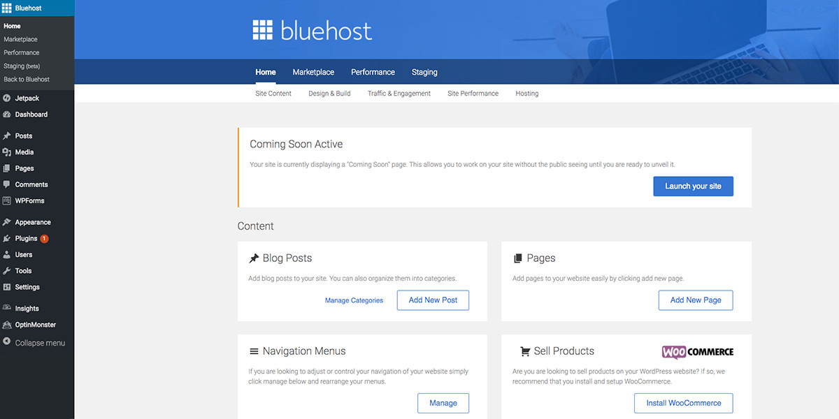 WordPress Bluehost account