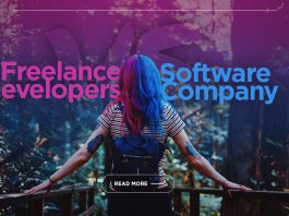 Freelance vs Software Company What should you choose