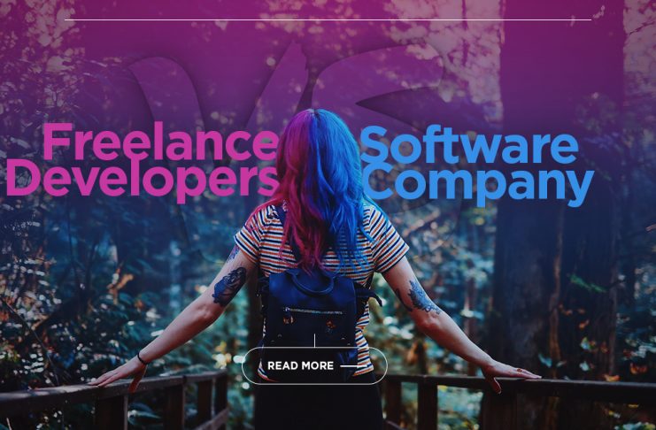 Freelance vs Software Company What should you choose